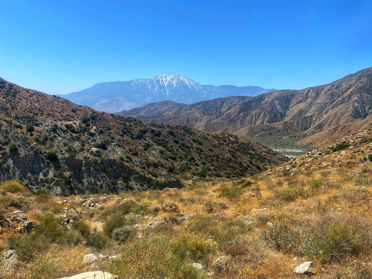 De race naar&nbsp;Cajon