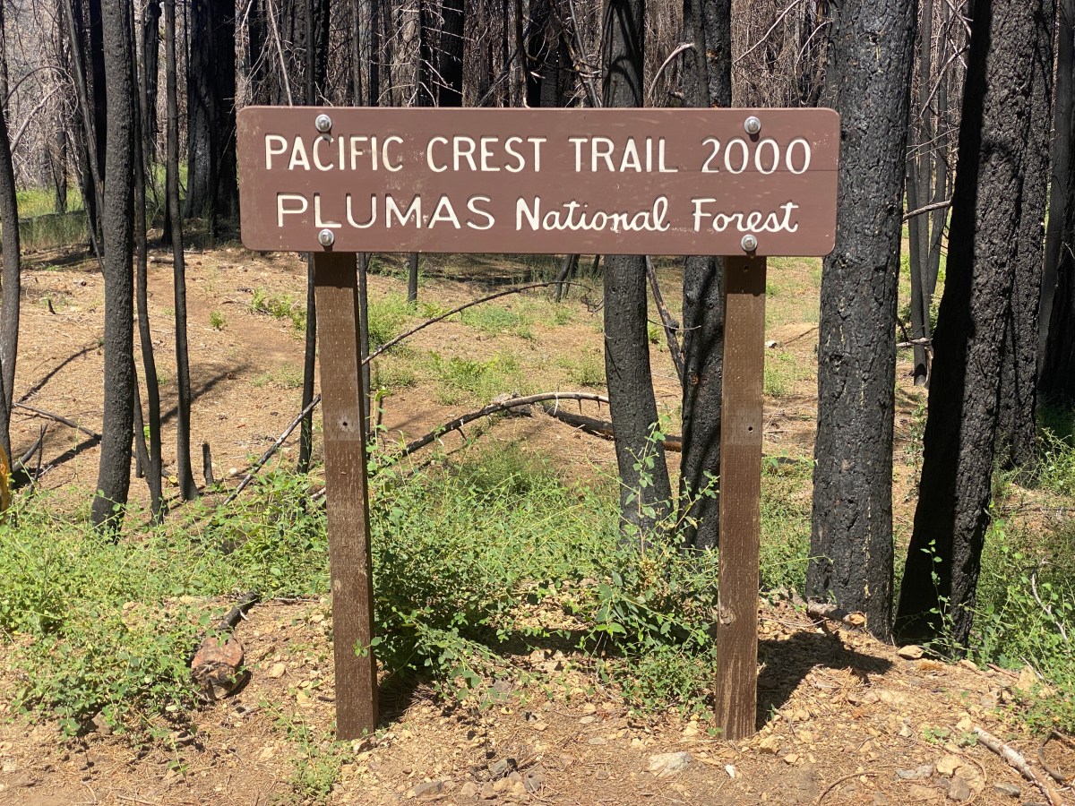 De warmte van Noord Californië&nbsp;in