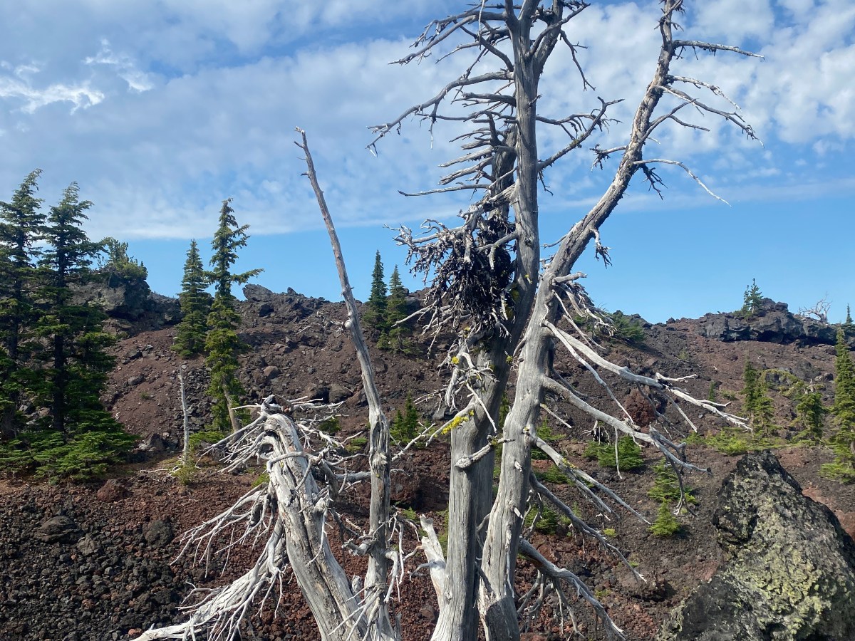 De vloer is&nbsp;lava