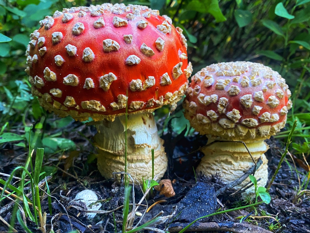 A new ‘State’ of&nbsp;energy!