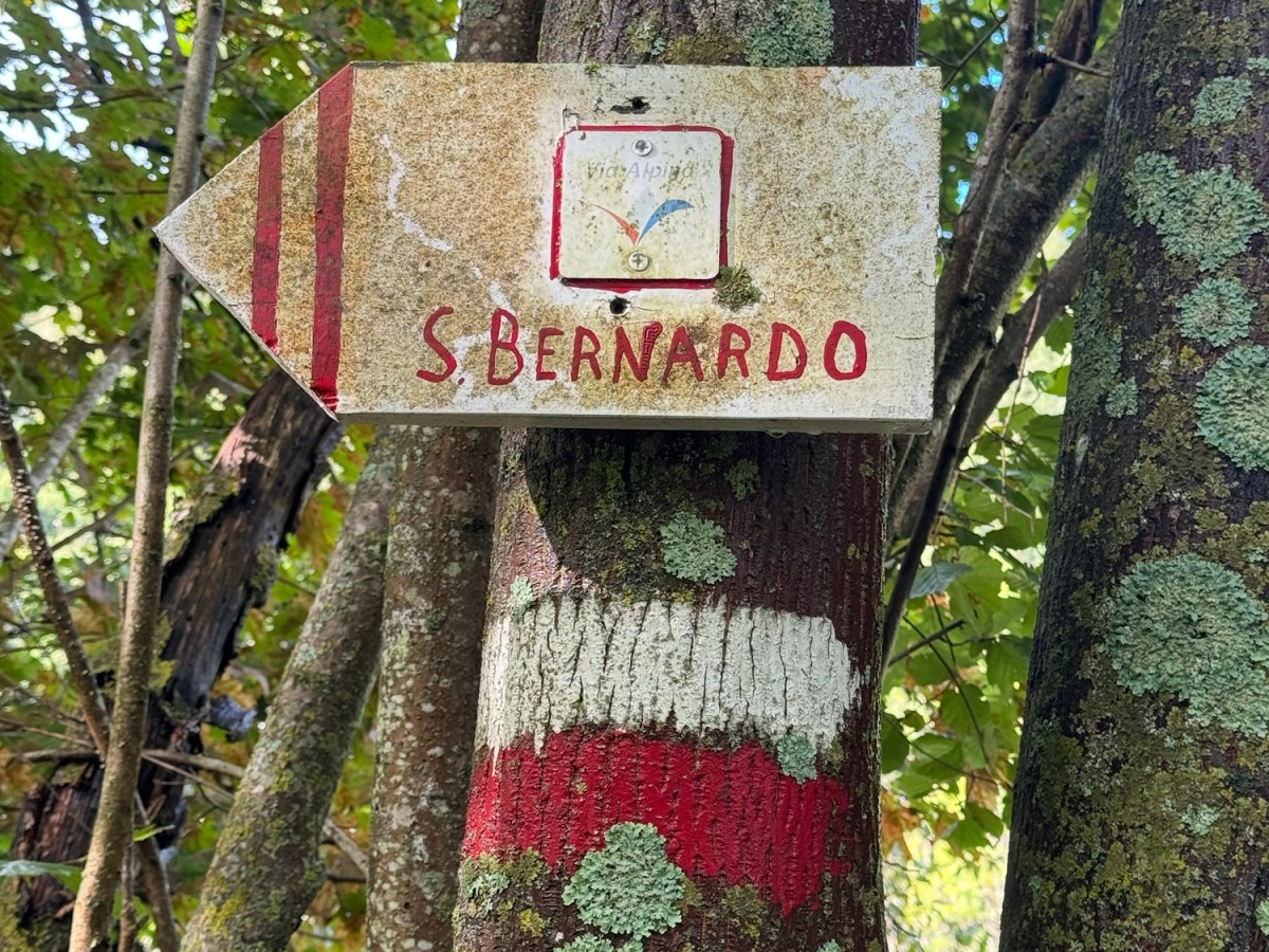 Finale week naar&nbsp;Monaco!